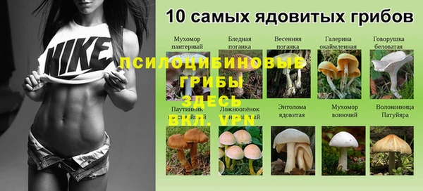 соль ск Верхнеуральск