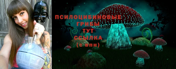 соль ск Верхнеуральск