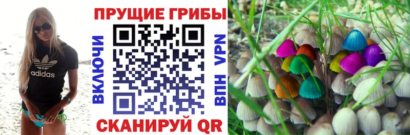 цены наркотик  Карачев  гидра вход  Галлюциногенные грибы мицелий 