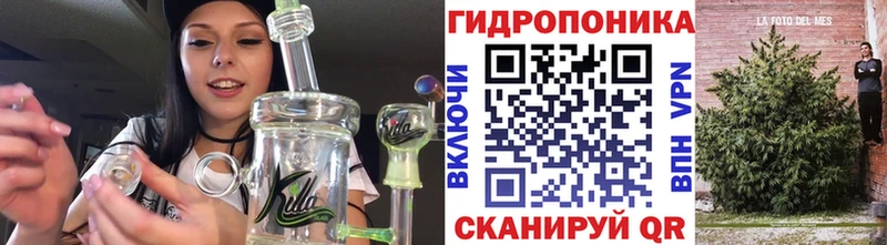 МЕГА маркетплейс  Карачев  Бошки Шишки ГИДРОПОН 